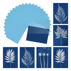 Cyanotype Paper,24 Sheet Sun Print Paper Blue Crafts with Board, 2.9×4.1″