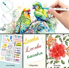 Dual Tip Brush Marker Pens for Adult Coloring Book Journaling Art Supplies