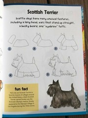 Lot of 2 Books Learn to Draw Dogs Puppies Cats Kitten Step by Step Instructions