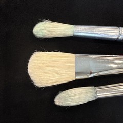 Lot of 9 Artists Brushes Princeton-Robert Simmons-Windsor Newton-Various Sizes