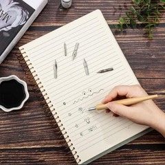 11 Pieces Comic Pen Nib Set G Ink Stainless Steel Drawing Calligraphy Wooden