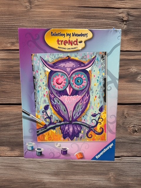 Dreamy Owl Paint by Numbers Kit 9.5×12 Inches Painting Art Craft NEW Opened Box