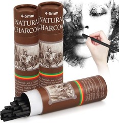 100 Pcs Willow Charcoal Sticks Willow Charcoal Artists Beginners Students