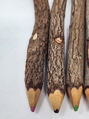 Set Of 10 Rustic Twig Branch Natural Wood Colored Pencil Set Decorative Pencils
