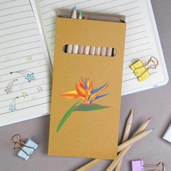 12 x ‘Bird Of Paradise Tropical Flower’ Long Colour Pencils (PE00071527)