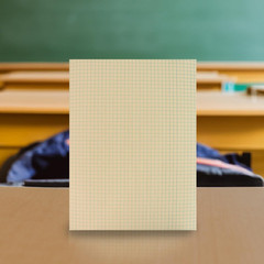 Graph Paper, 1/4 Inch Rule, 9 X 12 Inches, Manila, 500 Sheets