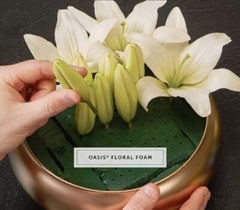 Advantage Plus Oasis® 8 PCS Standard Wet Floral Foam Brick Fresh Flower Wedding