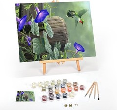 Detailed Hummingbird Paint by Numbers for Adults – DIY Kit