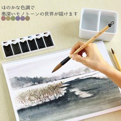6 Color Water Ink Paint Set Monotone Brown Purple Blue Green Yellow Red