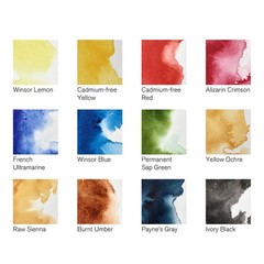 Watercolor Paint Set 12 Half Pan Professional Black Box Winsor Newton