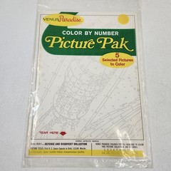 Venus Paradise Color by Number Picture Pak 0549-1 Defense & Discovery Open Pack