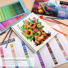 Soft Core Artist Pencils – 520 Colors