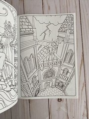 Adult Coloring Book Fox Owl Fantasy Designs To Enchant Teen Activity Gift Idea