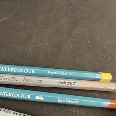 Mixed Lot of 10 Derwent Watercolour Pencils – See Description