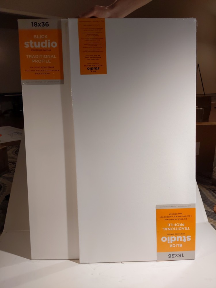 Blick 18×36 Canvases (2)