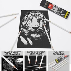 Professional White Charcoal Pencils Set 5 Pieces White Sketch Pencils White C…