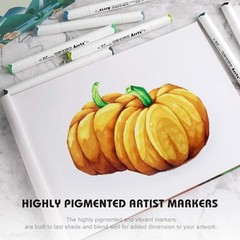 Alcohol Markers ALP 80 Colors,Dual Tips Permanent Drawing Art Markers for Art…
