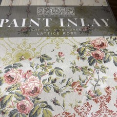 Iron Orchid Designs – IOD – Paint Inlays – Brand New -Latice Rose