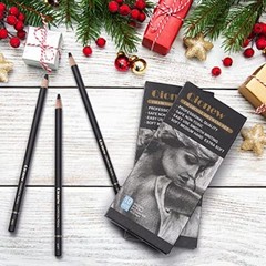 Professional Charcoal Pencils Drawing Set 10 Pieces Super Soft Soft Medium & Har