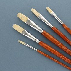 Protege Brush Set Hog Bristle Long Handle Artist Paint Brushes Craft Art 5 PCS