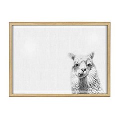 Blake Alpaca Portrait Horizontal Framed Printed Glass Wall Art and Dry Erase