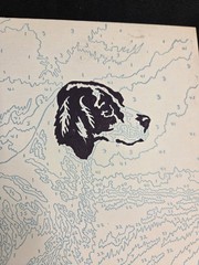 Vtg 1950s Craftint Oil Paint by Number Big 3 Canvases – Dogs – See Details