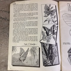 Vtg How to Paint Exotic Butterflies Mag. Walter Foster Art Paint Butterfly Pics