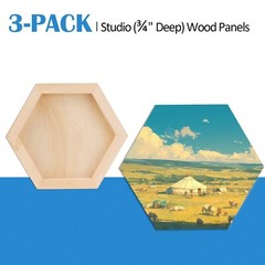 Falling in Art Wooden Hexagon Shaped Panel Boards Kit, 3/4″ Deep Wood Canvas …