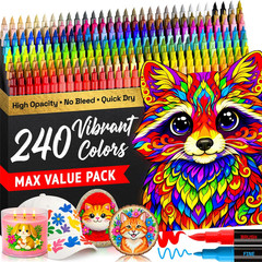 240 Acrylic Paint Markers – Paint Pens for Drawing – for Fabric, Rock, Glass, Wo