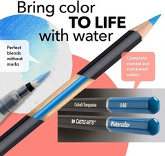 Castle Art Supplies 24 Botanical Watercolor Pencils Tin
