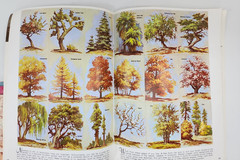 WALTER T FOSTER Lot Of 4 Vintage How To Paint Instruction Art Books Fashion