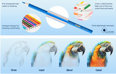 36 Pack Colored Pencils for Adult Coloring Books, Soft Core, Art Drawing Pencils