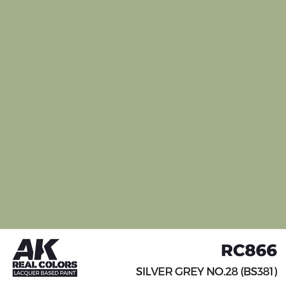 AK-RC866 AK Interactive Real Colors Silver Grey No.28 (BS381) 17 ml.