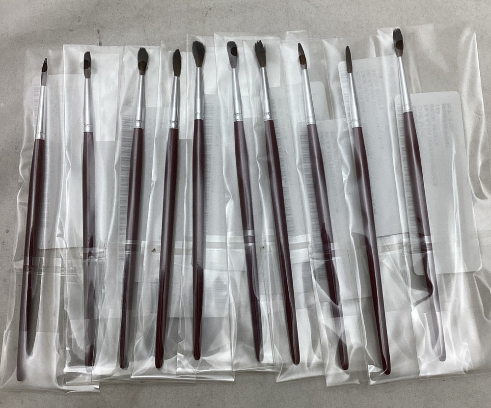 Artist Paint Brush for Arts & Crafts (Lot of 10) Fine Tip