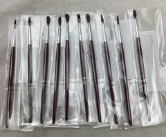 Artist Paint Brush for Arts & Crafts (Lot of 10) Fine Tip