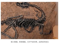 TOP! simulated Jurassic Cretaceous dinosaur skeletal fossil specimens 2.1LB
