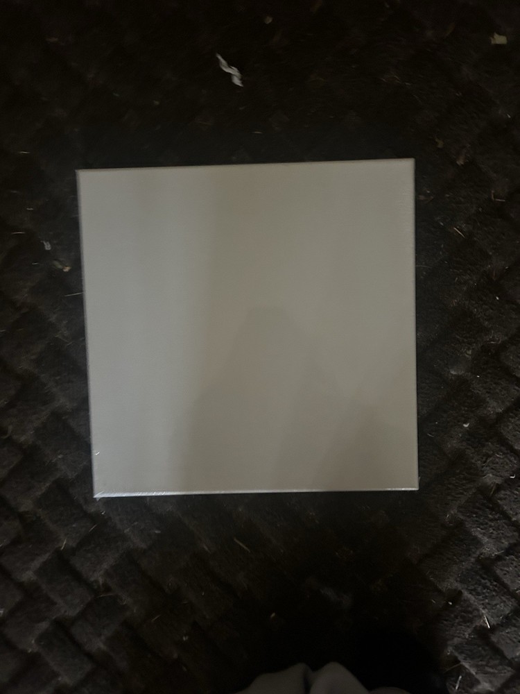 Blank Fresh New Condition Painting Canvas For Painting White Canvas Blank