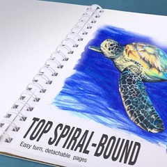 11″ x 14″ Heavy-Weight Paper Spiral Bound Sketch Pad 90lbs 30-Sheets (Pack of 2)