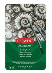 Derwent Academy Tin of 12 Graphite Sketching Pencils 6B – 5H Artist College Art