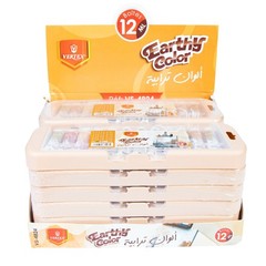 Earthy Color Painting Set 12 Colors 12ml Tubes Kit with Brush & Plastic Case