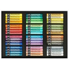 CREATIVE ART MATERIALS Caran D’ache Neopastel Oil Pastels Set/48 (7400.348)