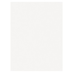 Prang (Formerly SunWorks) Construction Paper, White, 9″ x 50-Count, White