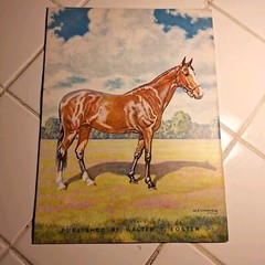 How To Draw And Paint Textures Of Animals W J Wilwerding Foster Art Books # 90
