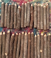 30 Wood Bark Multi- Colored Pencils – Art Drawing Lettering