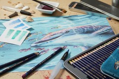 Derwent INKTENSE Pencils, Single Assorted Vibrant Water Soluble Colours