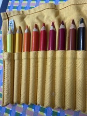 Fabriano Made Italy Set 24 chunky coloured pencils linen roll up Excellent Cond
