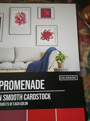 Colorbok Red Promenade 12×12 Cardstock 27 Sheets, Assorted Red Shades, Smooth