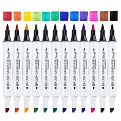 Bianyo alcohol based markers brush and chisel tips set of 12