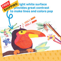 Sax Pen and Ink Sulphite Drawing Paper, 80 lb, 9 x 12 9 x 12 Inches, White