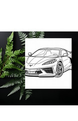 Sports Car Canvas Paint Kit | DIY Paint Kit for Men | Car Lover Gift | Corvette